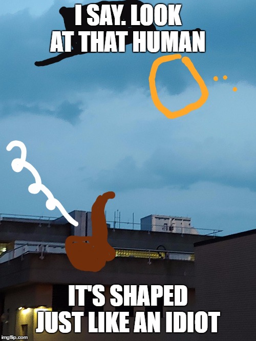 Sir Spiffy Sky | I SAY. LOOK AT THAT HUMAN; IT'S SHAPED JUST LIKE AN IDIOT | image tagged in sir spiffy sky | made w/ Imgflip meme maker