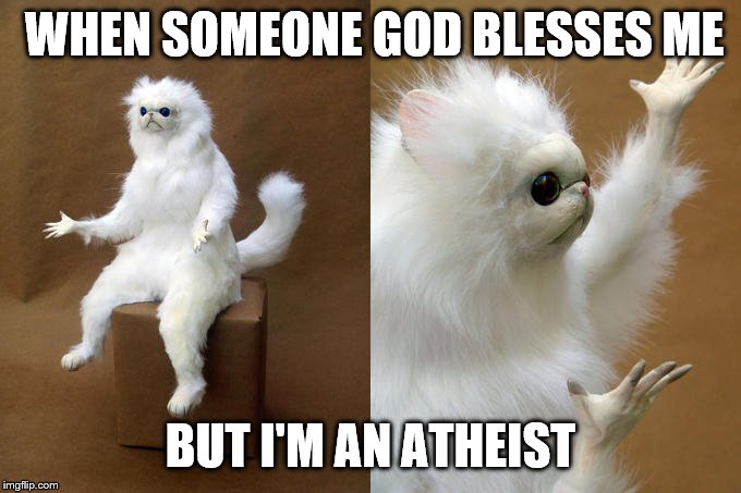 Persian Cat Room Guardian Meme | WHEN SOMEONE GOD BLESSES ME; BUT I'M AN ATHEIST | image tagged in memes,persian cat room guardian | made w/ Imgflip meme maker