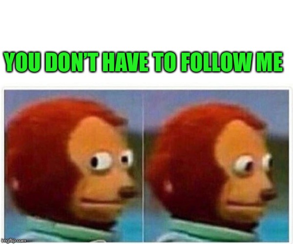 Monkey Puppet Meme | YOU DON’T HAVE TO FOLLOW ME | image tagged in monkey puppet | made w/ Imgflip meme maker