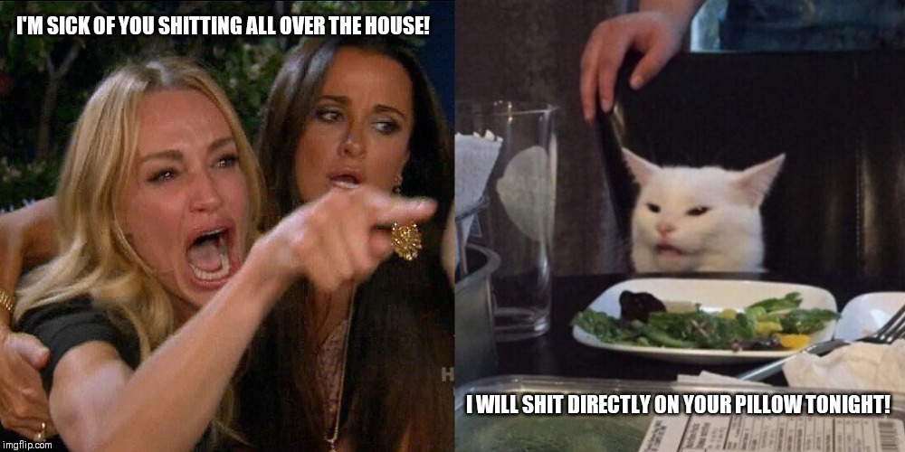 Woman yelling at cat | I'M SICK OF YOU SHITTING ALL OVER THE HOUSE! I WILL SHIT DIRECTLY ON YOUR PILLOW TONIGHT! | image tagged in woman yelling at cat | made w/ Imgflip meme maker