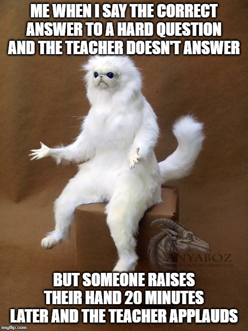 Persian Cat Room Guardian Single | ME WHEN I SAY THE CORRECT ANSWER TO A HARD QUESTION AND THE TEACHER DOESN'T ANSWER; BUT SOMEONE RAISES THEIR HAND 20 MINUTES LATER AND THE TEACHER APPLAUDS | image tagged in memes,persian cat room guardian single | made w/ Imgflip meme maker