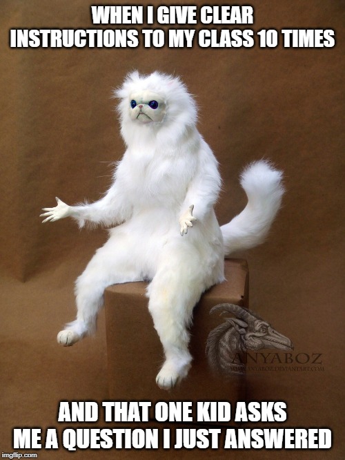 Persian Cat Room Guardian Single | WHEN I GIVE CLEAR INSTRUCTIONS TO MY CLASS 10 TIMES; AND THAT ONE KID ASKS ME A QUESTION I JUST ANSWERED | image tagged in memes,persian cat room guardian single | made w/ Imgflip meme maker