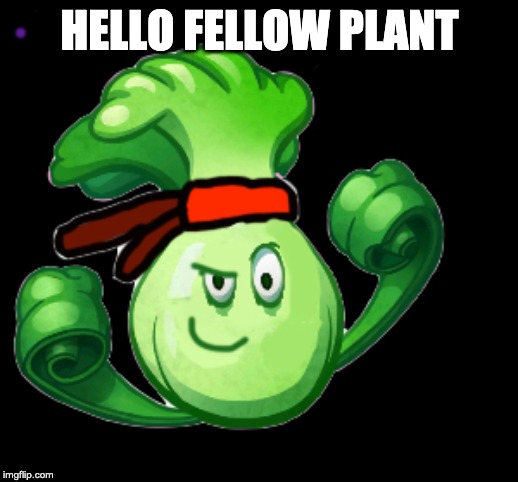 HELLO FELLOW PLANT | made w/ Imgflip meme maker
