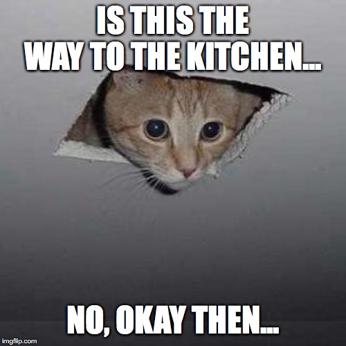 Ceiling Cat | IS THIS THE WAY TO THE KITCHEN... NO, OKAY THEN... | image tagged in memes,ceiling cat | made w/ Imgflip meme maker
