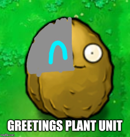 Wall-Nut | GREETINGS PLANT UNIT | image tagged in wall-nut | made w/ Imgflip meme maker