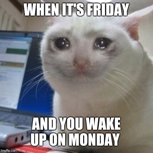 Crying cat | WHEN IT'S FRIDAY; AND YOU WAKE UP ON MONDAY | image tagged in crying cat | made w/ Imgflip meme maker