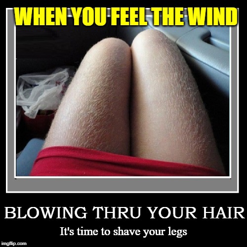 Call me old-fashioned but I like girls who shave their legs... and who don't have balls | WHEN YOU FEEL THE WIND; BLOWING THRU YOUR HAIR; It's time to shave your legs | image tagged in vince vance,shaving,hairy legs,men vs women | made w/ Imgflip meme maker