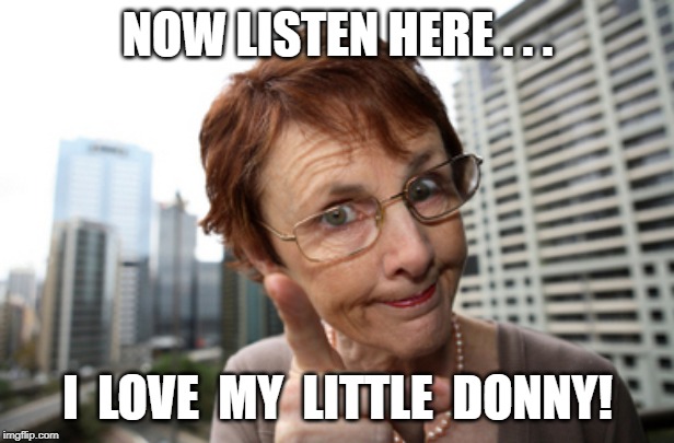 old mom | NOW LISTEN HERE . . . I  LOVE  MY  LITTLE  DONNY! | image tagged in old mom | made w/ Imgflip meme maker