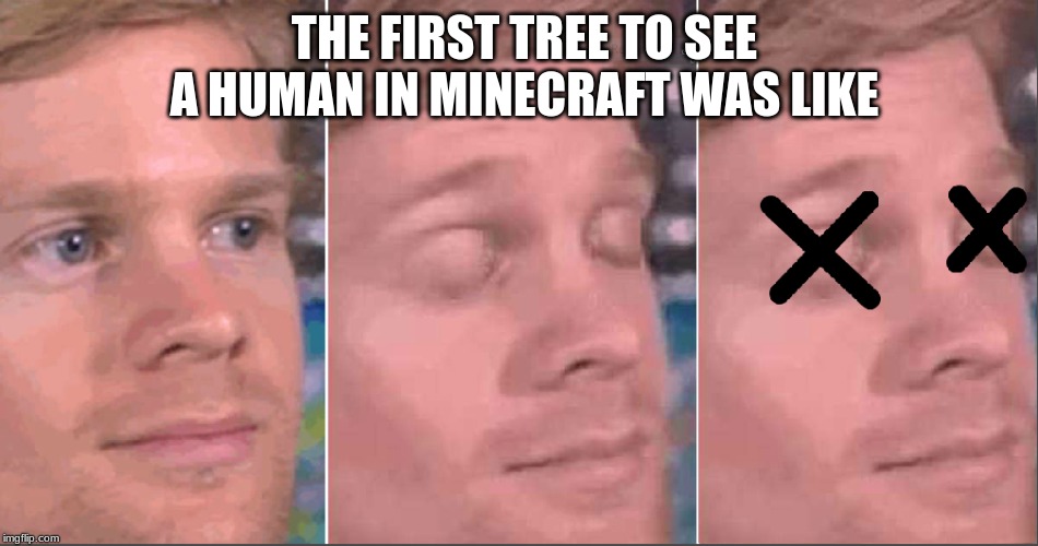 First Person Dead | THE FIRST TREE TO SEE A HUMAN IN MINECRAFT WAS LIKE | image tagged in first person dead | made w/ Imgflip meme maker