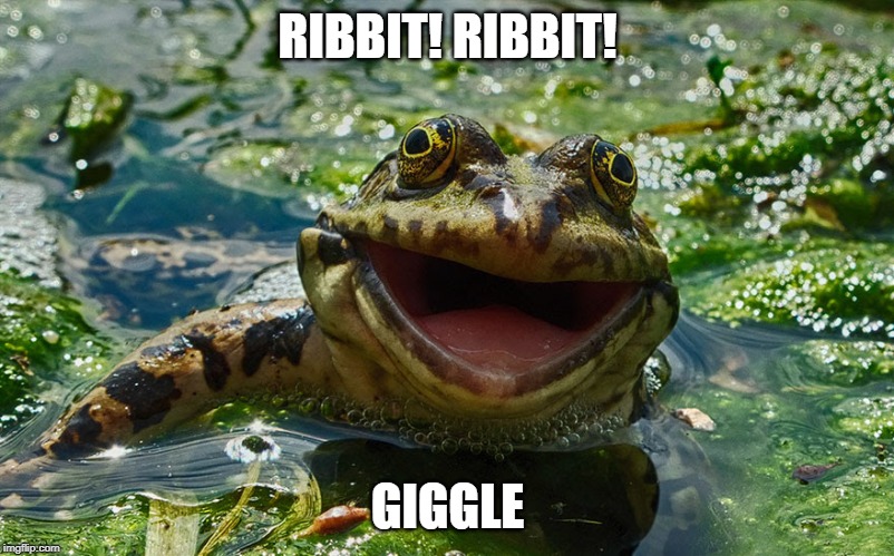 Ribbit | RIBBIT! RIBBIT! GIGGLE | image tagged in ribbit,frog,happy frog | made w/ Imgflip meme maker