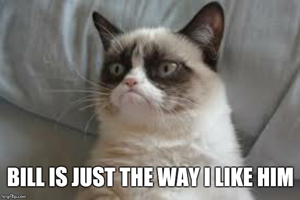 Grumpy cat | BILL IS JUST THE WAY I LIKE HIM | image tagged in grumpy cat | made w/ Imgflip meme maker