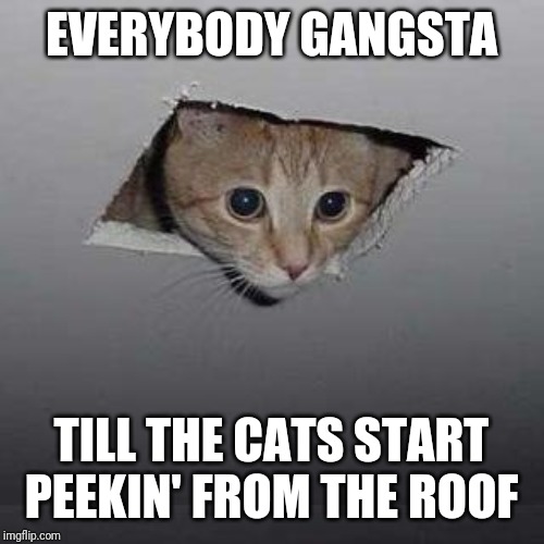 Ceiling Cat | EVERYBODY GANGSTA; TILL THE CATS START PEEKIN' FROM THE ROOF | image tagged in memes,ceiling cat | made w/ Imgflip meme maker