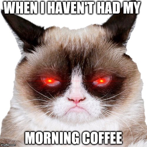 Need coffe | WHEN I HAVEN'T HAD MY; MORNING COFFEE | image tagged in grumpy cat | made w/ Imgflip meme maker