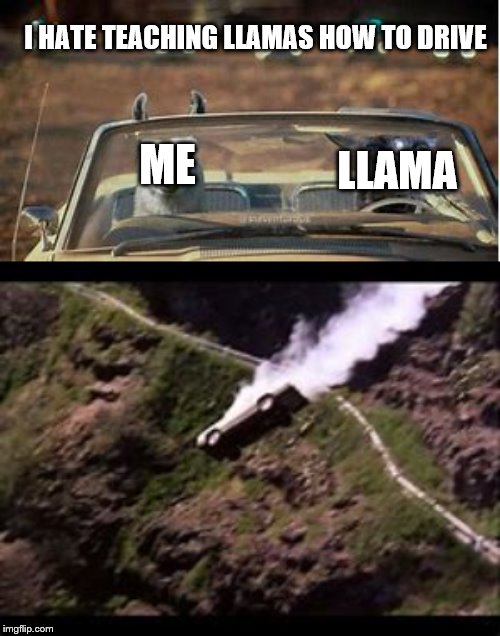 ME LLAMA I HATE TEACHING LLAMAS HOW TO DRIVE | made w/ Imgflip meme maker