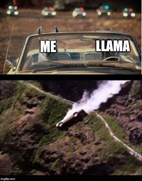 Teaching llamas how to drive | LLAMA; ME | image tagged in llamas,llama,bad drivers,cliff | made w/ Imgflip meme maker