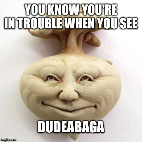 rootabaga | YOU KNOW YOU'RE IN TROUBLE WHEN YOU SEE; DUDEABAGA | image tagged in rootabaga | made w/ Imgflip meme maker