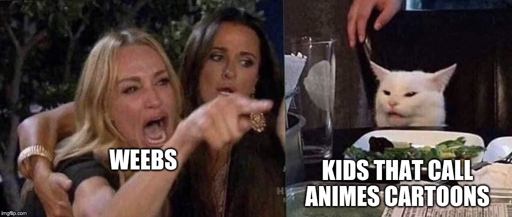 woman yelling at cat | KIDS THAT CALL ANIMES CARTOONS; WEEBS | image tagged in woman yelling at cat | made w/ Imgflip meme maker