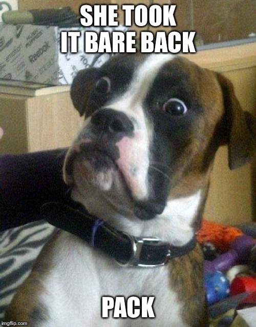 Surprised Dog | SHE TOOK IT BARE BACK PACK | image tagged in surprised dog | made w/ Imgflip meme maker