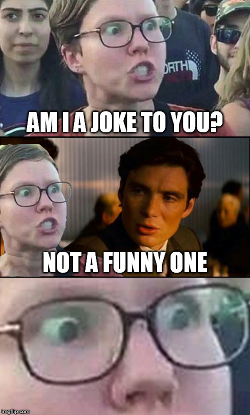 Inception Liberal | AM I A JOKE TO YOU? NOT A FUNNY ONE | image tagged in inception liberal,am i a joke to you,not funny | made w/ Imgflip meme maker
