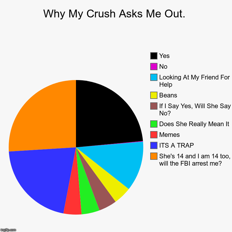 Why My Crush Asks Me Out. | She's 14 and I am 14 too, will the FBI arrest me?, ITS A TRAP, Memes, Does She Really Mean It, If I Say Yes, Wil | image tagged in charts,pie charts | made w/ Imgflip chart maker