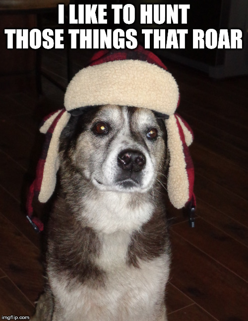 hunting dog | I LIKE TO HUNT THOSE THINGS THAT ROAR | image tagged in hunting dog | made w/ Imgflip meme maker