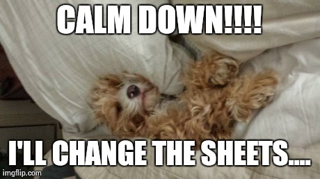 CALM DOWN!!!! I'LL CHANGE THE SHEETS.... | made w/ Imgflip meme maker