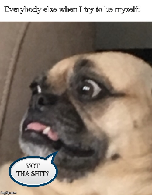 Shocked pug | Everybody else when I try to be myself:; VOT THA SHIT? | image tagged in shocked pug | made w/ Imgflip meme maker