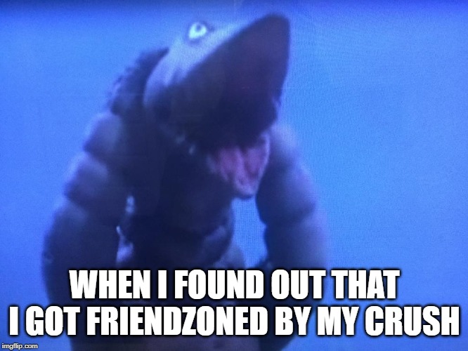 telesdon goofed up | WHEN I FOUND OUT THAT I GOT FRIENDZONED BY MY CRUSH | image tagged in telesdon goofed up | made w/ Imgflip meme maker