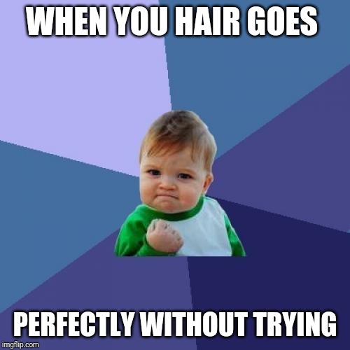 Hair | WHEN YOU HAIR GOES; PERFECTLY WITHOUT TRYING | image tagged in memes,success kid | made w/ Imgflip meme maker