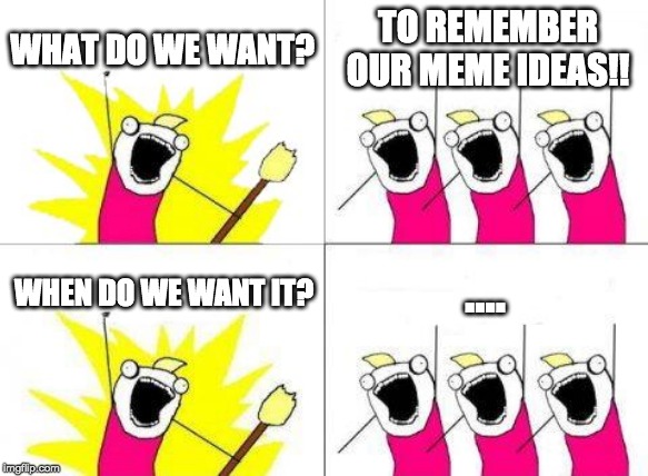 What Do We Want | WHAT DO WE WANT? TO REMEMBER OUR MEME IDEAS!! .... WHEN DO WE WANT IT? | image tagged in memes,what do we want | made w/ Imgflip meme maker