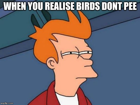 Futurama Fry Meme | WHEN YOU REALISE BIRDS DONT PEE | image tagged in memes,futurama fry | made w/ Imgflip meme maker