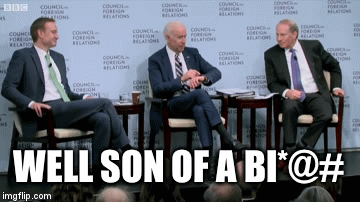 Well son of a | WELL SON OF A BI*@# | image tagged in gifs | made w/ Imgflip video-to-gif maker