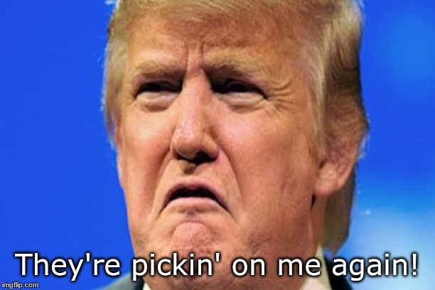 Donald trump crying | They're pickin' on me again! | image tagged in donald trump crying | made w/ Imgflip meme maker
