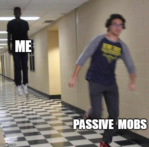 floating boy chasing running boy | ME; PASSIVE  MOBS | image tagged in floating boy chasing running boy | made w/ Imgflip meme maker