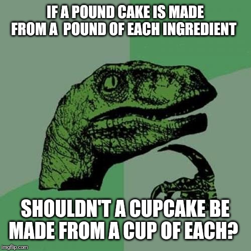 Philosoraptor Meme | IF A POUND CAKE IS MADE FROM A  POUND OF EACH INGREDIENT; SHOULDN'T A CUPCAKE BE MADE FROM A CUP OF EACH? | image tagged in memes,philosoraptor | made w/ Imgflip meme maker