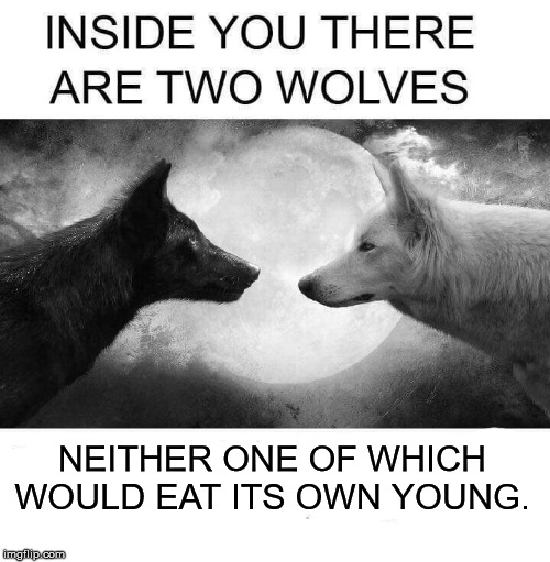 Inside you there are two wolves | NEITHER ONE OF WHICH WOULD EAT ITS OWN YOUNG. | image tagged in inside you there are two wolves | made w/ Imgflip meme maker