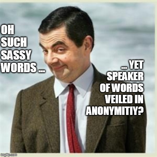 Mr Bean Smirk | OH SUCH SASSY WORDS ... ... YET SPEAKER OF WORDS VEILED IN ANONYMITIY? | image tagged in mr bean smirk | made w/ Imgflip meme maker