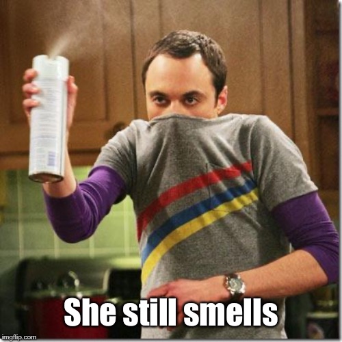 air freshener sheldon cooper | She still smells | image tagged in air freshener sheldon cooper | made w/ Imgflip meme maker