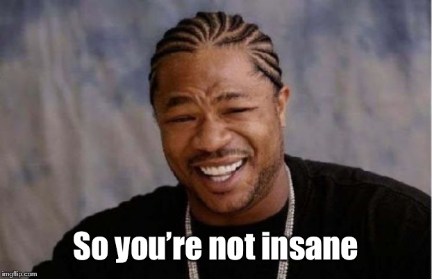 Yo Dawg Heard You Meme | So you’re not insane | image tagged in memes,yo dawg heard you | made w/ Imgflip meme maker