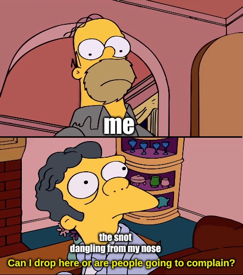 me; the snot dangling from my nose; Can I drop here or are people going to complain? | image tagged in memes,relatable | made w/ Imgflip meme maker