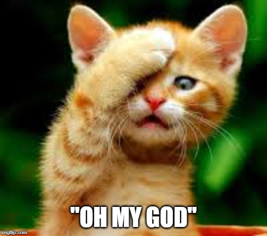 cat saying | "OH MY GOD" | image tagged in omg | made w/ Imgflip meme maker