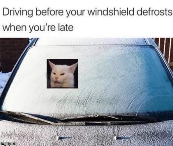 Winter sucks | image tagged in work,winter,work sucks,i know,winter is here,confused cat | made w/ Imgflip meme maker