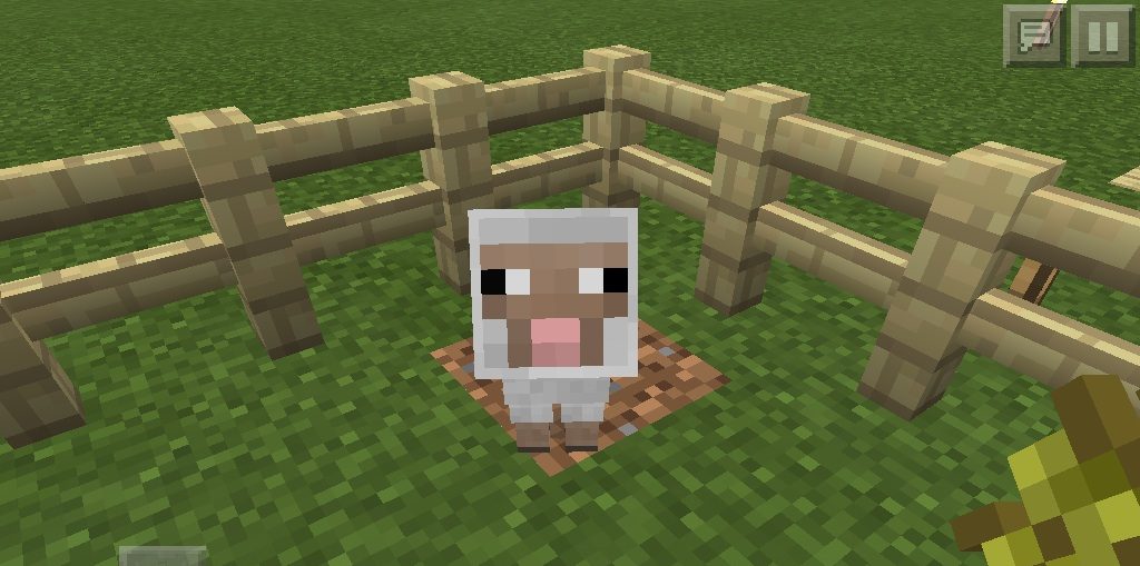 Minecraft sheep Blank Template - Imgflip