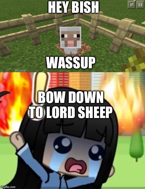  HEY BISH; WASSUP; BOW DOWN TO LORD SHEEP | image tagged in minecraft sheep | made w/ Imgflip meme maker