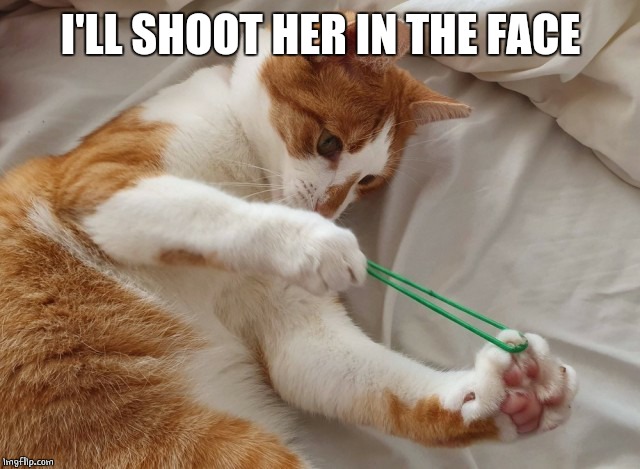 cat rubber band | I'LL SHOOT HER IN THE FACE | image tagged in cat rubber band | made w/ Imgflip meme maker