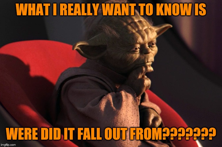 thinking_yoda | WHAT I REALLY WANT TO KNOW IS WERE DID IT FALL OUT FROM??????? | image tagged in thinking_yoda | made w/ Imgflip meme maker