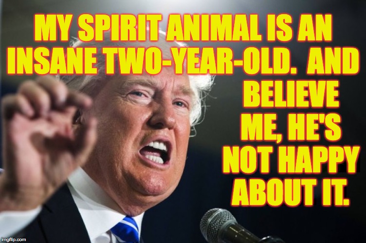 donald trump | MY SPIRIT ANIMAL IS AN
INSANE TWO-YEAR-OLD.  AND; BELIEVE ME, HE'S NOT HAPPY ABOUT IT. | image tagged in donald trump,insanity's child,memes,spirit animal | made w/ Imgflip meme maker