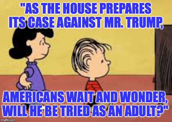 You can certainly argue it's a juvenile court. | "AS THE HOUSE PREPARES ITS CASE AGAINST MR. TRUMP, AMERICANS WAIT AND WONDER, WILL HE BE TRIED AS AN ADULT?" | image tagged in memes,trump,impeachment | made w/ Imgflip meme maker