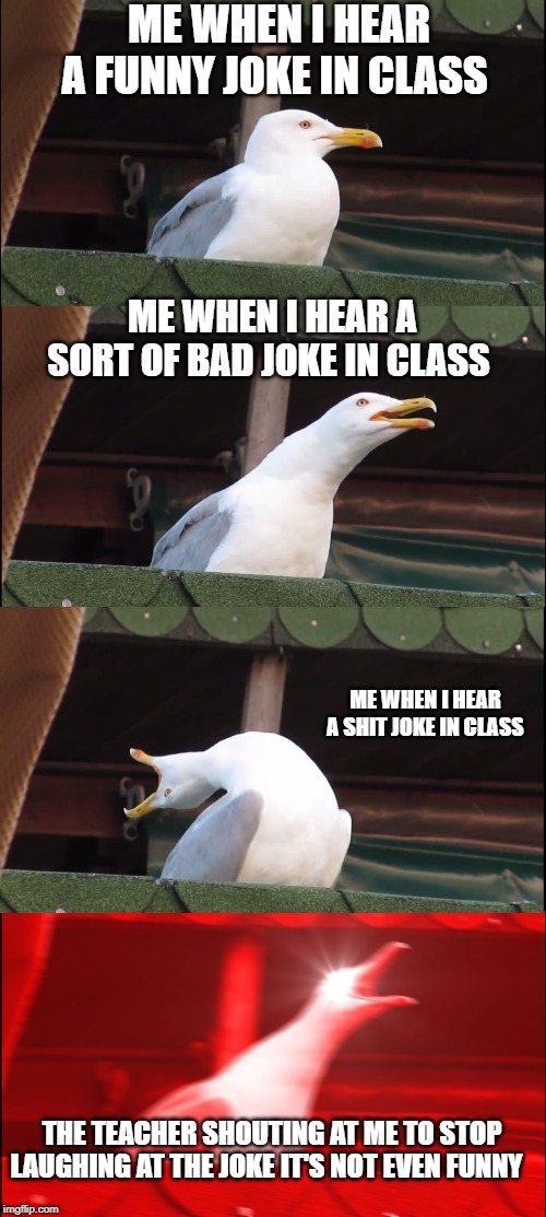 Inhaling Seagull | ME WHEN I HEAR A FUNNY JOKE IN CLASS; ME WHEN I HEAR A SORT OF BAD JOKE IN CLASS; ME WHEN I HEAR A SHIT JOKE IN CLASS; THE TEACHER SHOUTING AT ME TO STOP LAUGHING AT THE JOKE IT'S NOT EVEN FUNNY | image tagged in memes,inhaling seagull | made w/ Imgflip meme maker