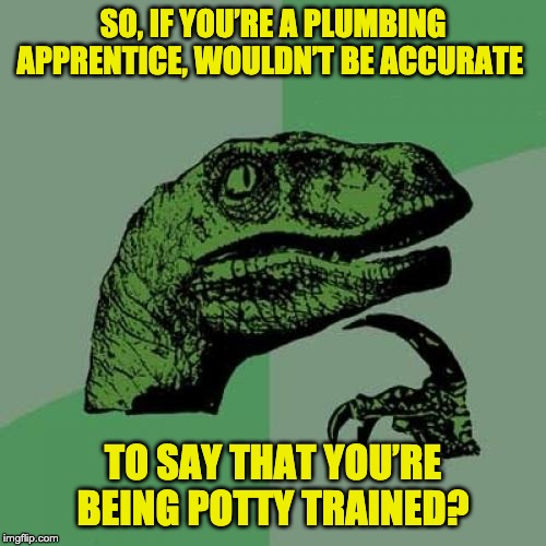 Philosoraptor Meme | SO, IF YOU’RE A PLUMBING APPRENTICE, WOULDN’T BE ACCURATE; TO SAY THAT YOU’RE BEING POTTY TRAINED? | image tagged in memes,philosoraptor | made w/ Imgflip meme maker